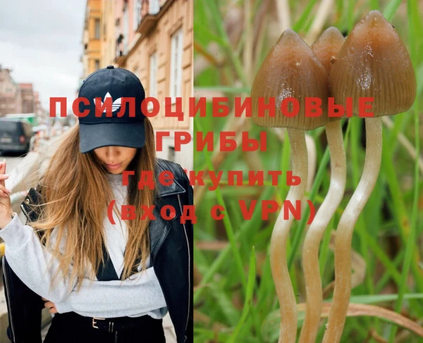 синтетический гашиш Армянск