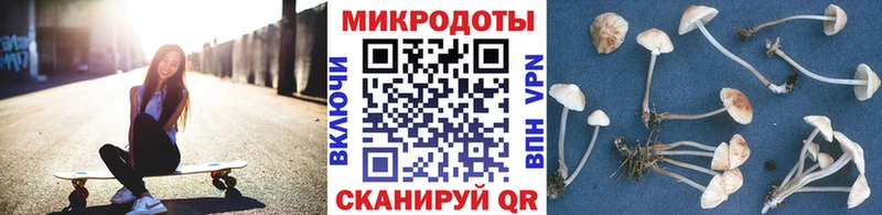 Псилоцибиновые грибы Cubensis нарко площадка как зайти Усть-Лабинск