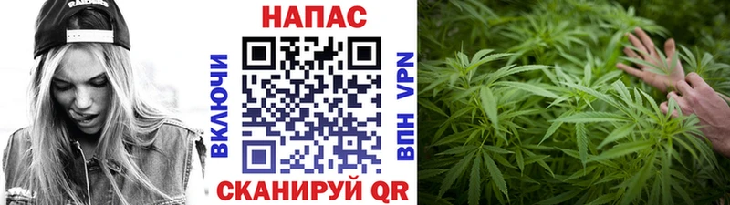 Бошки Шишки Ganja  Усть-Лабинск 